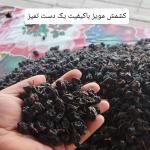 فروش کشمش عمده